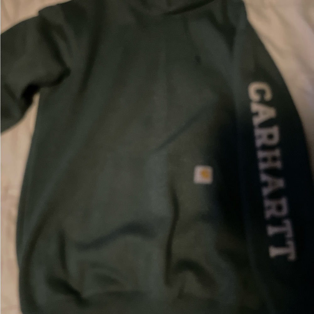Carhartt Rain Defender Hoodie in Teal